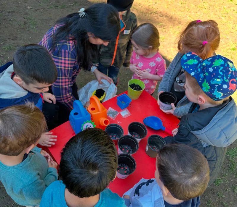 Cubs on Kent Day Care